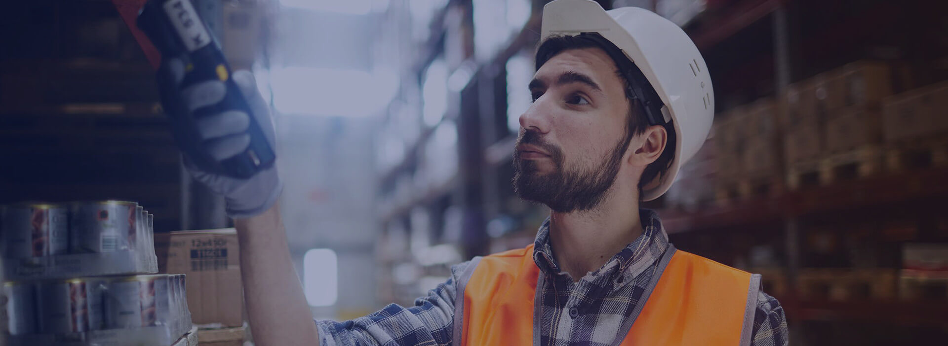 Privacy Illustration